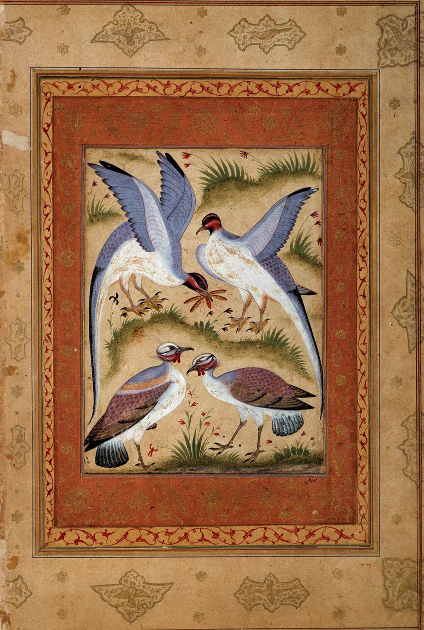 Vögel. Miniatur-Gouache aus der Mogul-Schule. 1590-1600. Paris, Guimet Museum, Nationalmuseum für asiatische Künste von Mughal School
