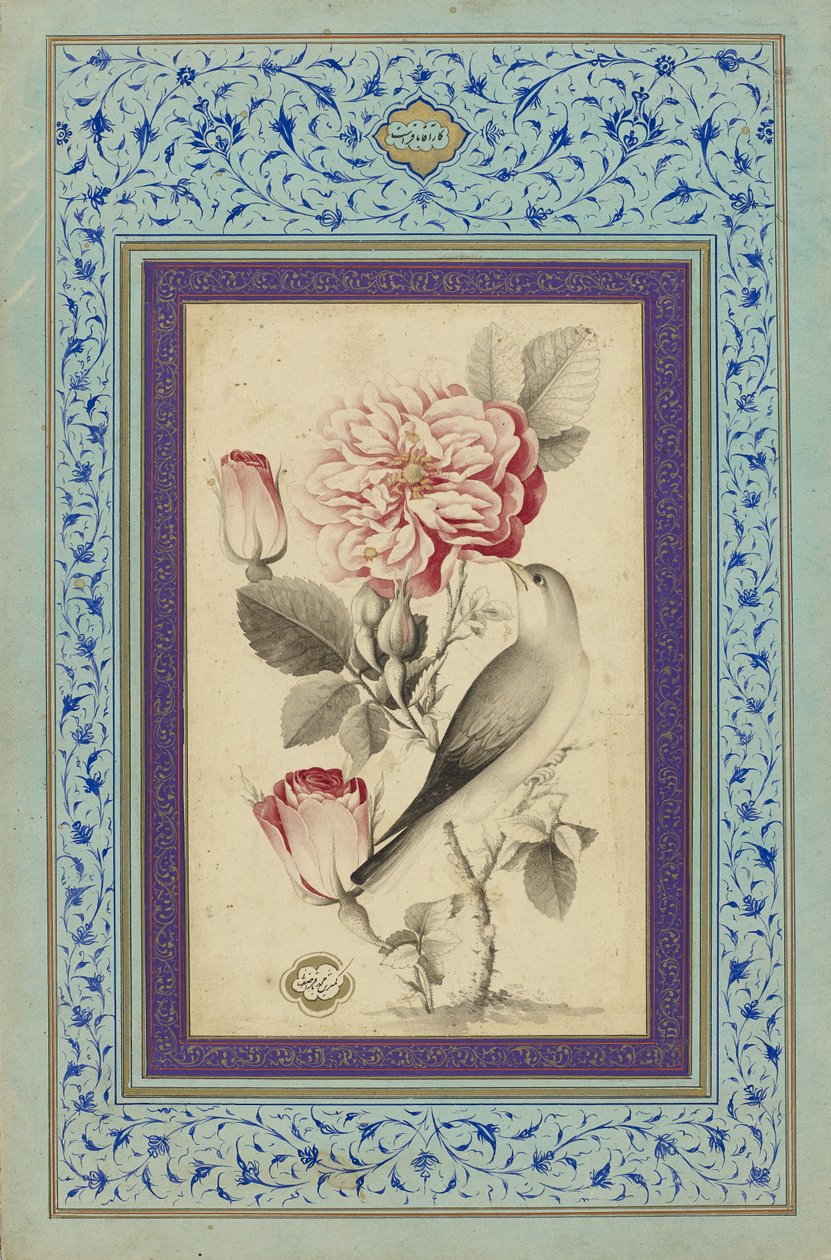 Rosen und Nachtigall von Muhammad Baqir