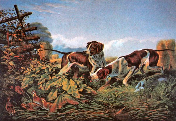 Amerikanische Feldsportarten: Auf einem Punkt von Currier and Ives