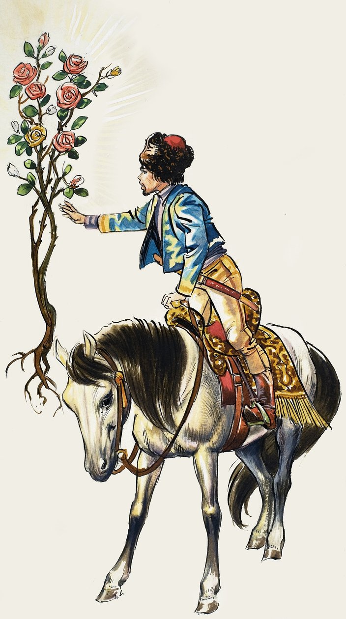 Geschichten aus vielen Ländern: Der goldene Rosenstrauch von Nadir Quinto