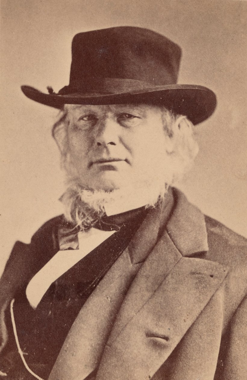 Porträt von Horace Greeley 1811-1872, 1869 von Napoleon Sarony