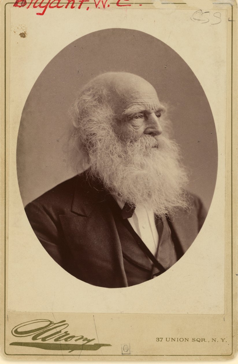 William Cullen Bryant von Napoleon Sarony