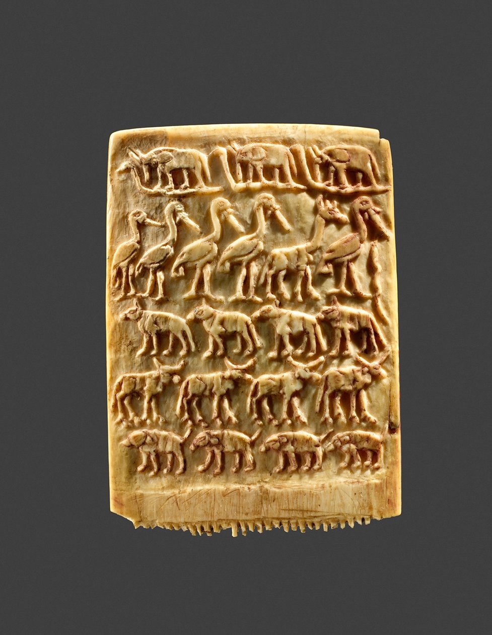 Haar Kamm mit Reihen von Wildtieren, ca. 3200-3100 v. Chr. von Naqada Period Egyptian