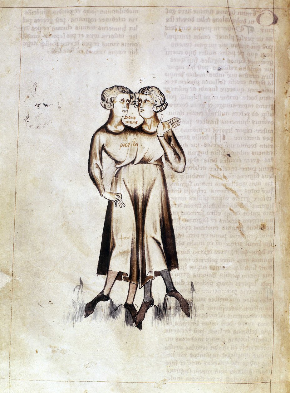 Zeichnung von Zwillinge, aus einer Übersetzung eines persischen astrologischen Traktats von Jafar ibn Muhammad (Pergament) von Netherlandish School