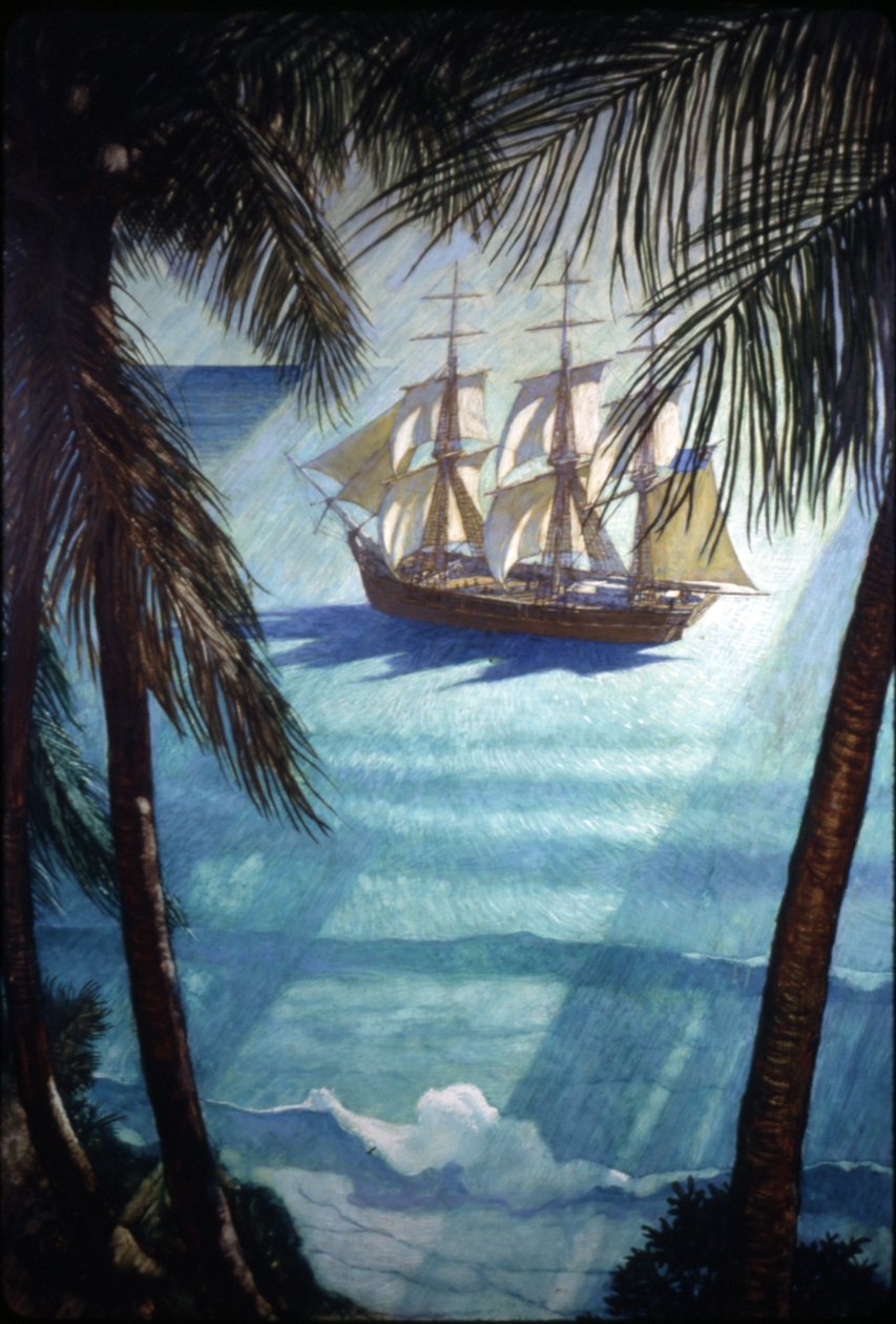 Das Schiff Bounty von Newell Convers Wyeth