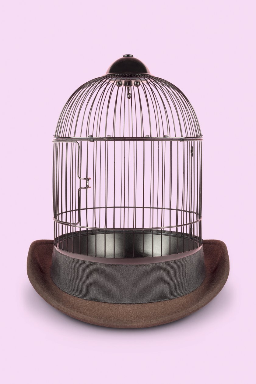 Mentalkäfig, 2020 von Niccolò Fioriti