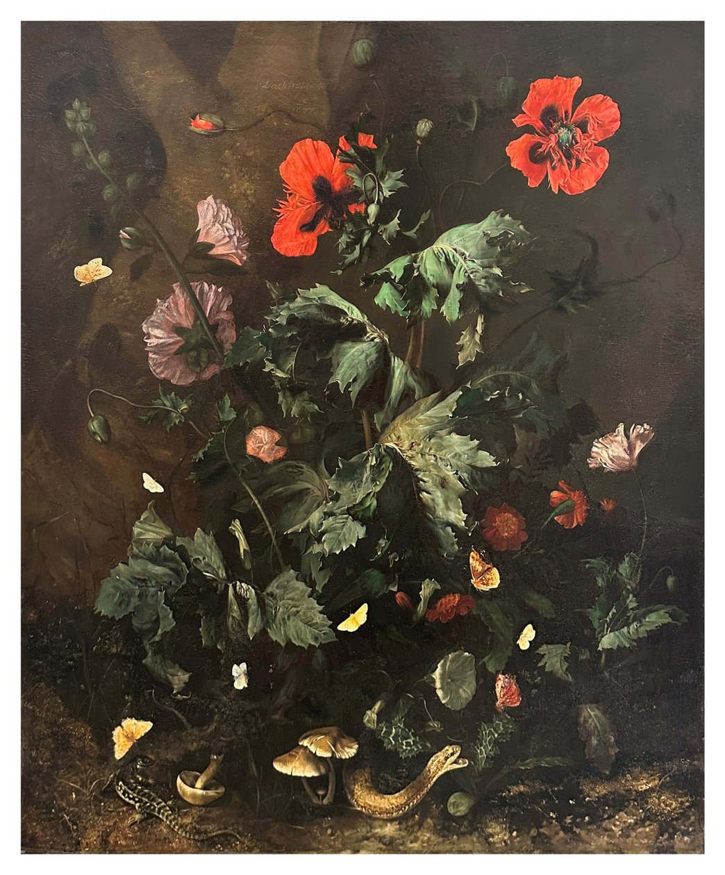 Ein Waldboden mit Blumen, Schmetterlingen und Reptilien, um 1656-1700 von Nicolaes Lachtropius