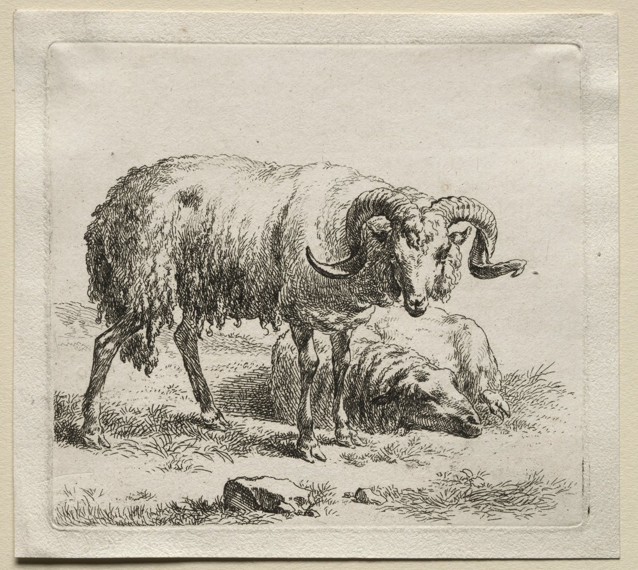 Widder und Schaf von Nicolaes Pietersz. Berchem