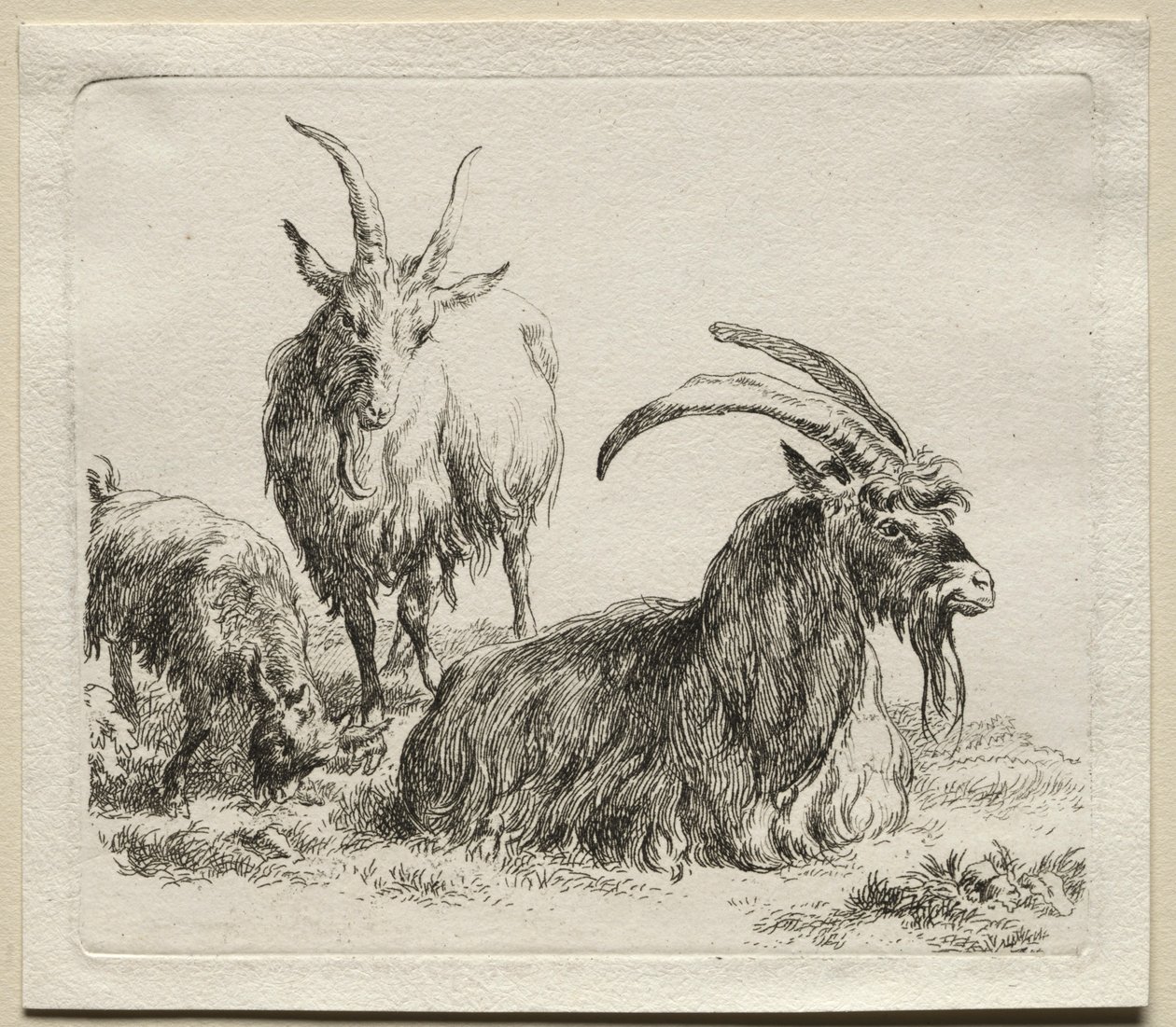 Drei Ziegen von Nicolaes Pietersz. Berchem