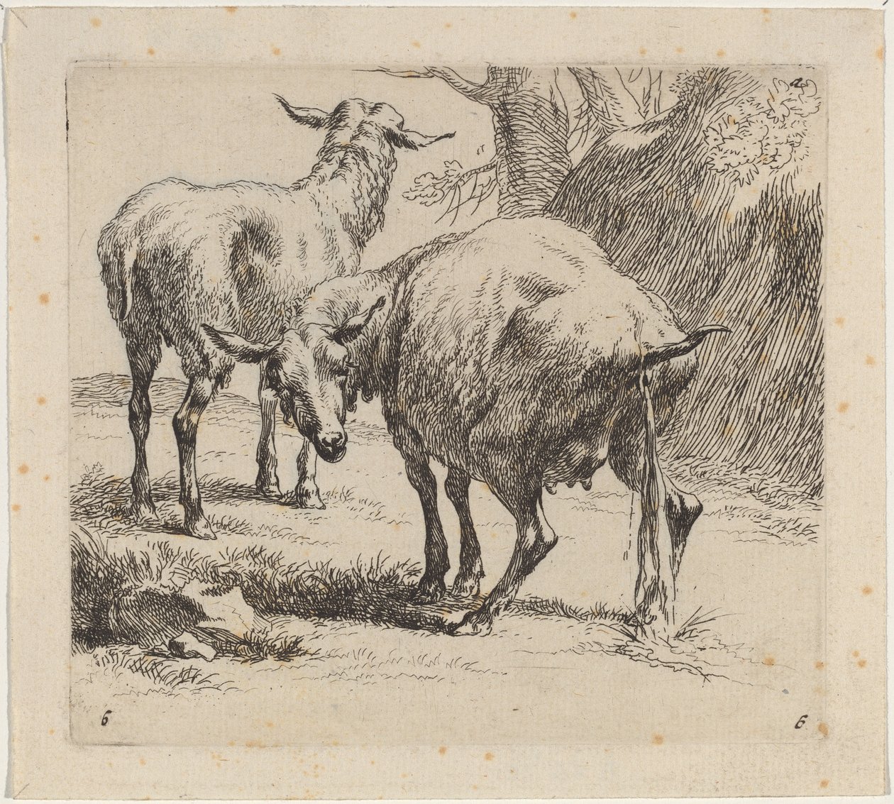 Zwei Schafe, eines pinkelt von Nicolaes Pietersz Berchem