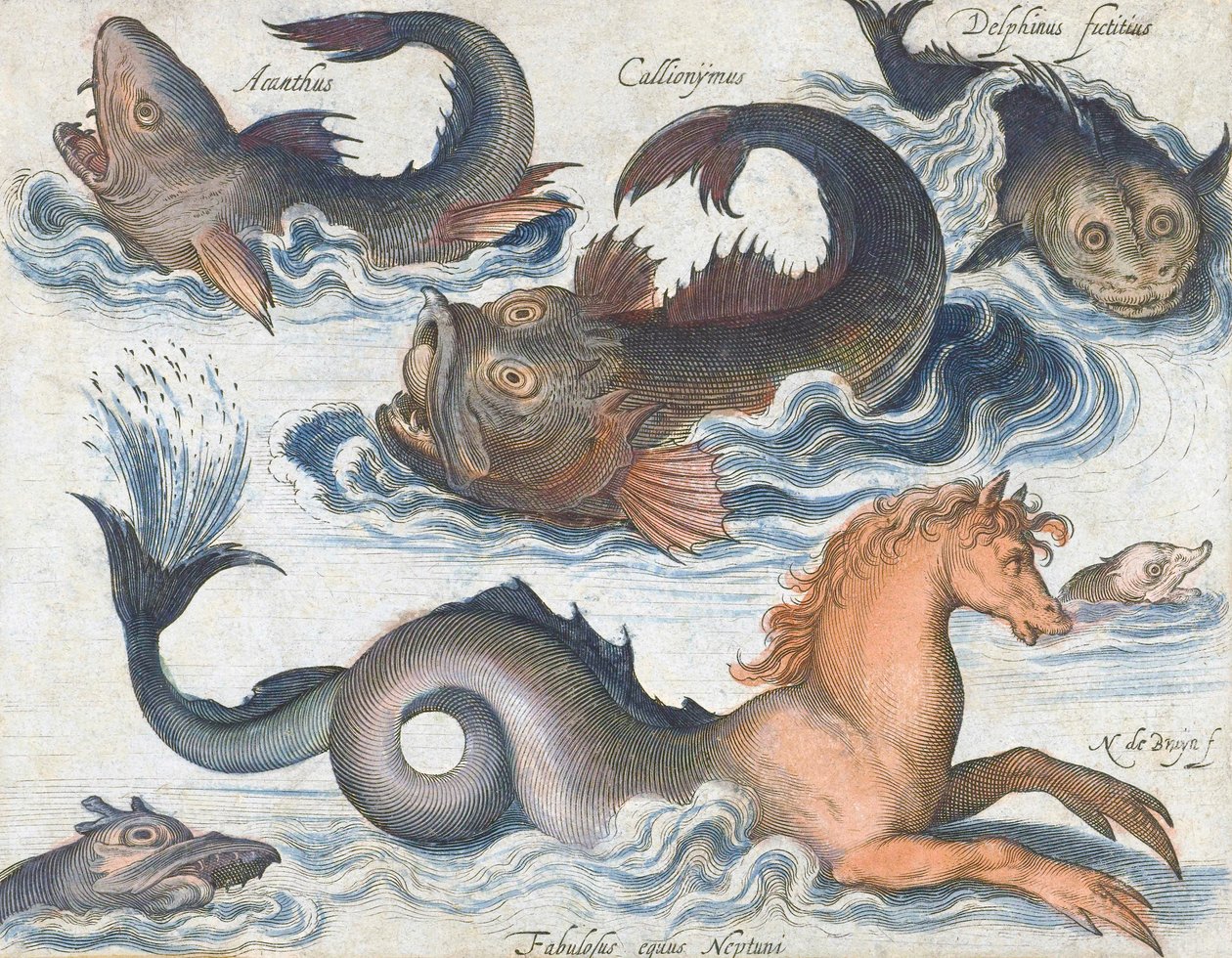 Seepferdchen und imaginäre Wasserwesen von Nicolaes de (after) Bruyn