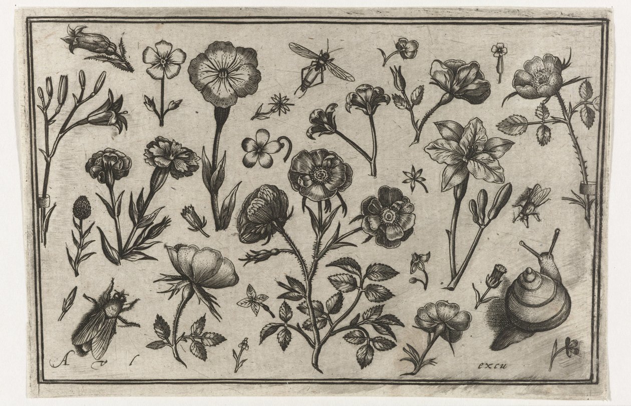 Blumen, eine Fliege und eine Schnecke von Nicolaes de Bruyn (possibly)