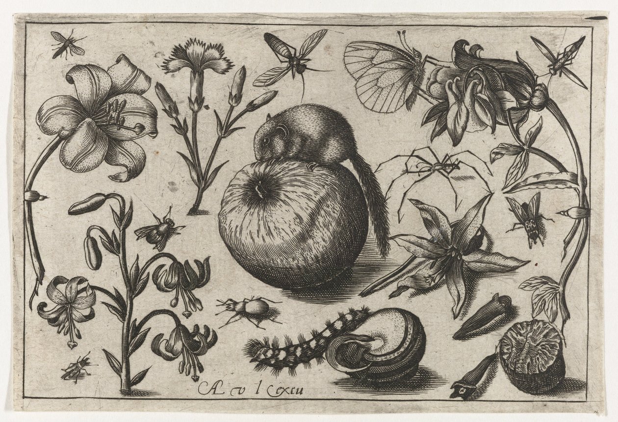 Blumen und eine Maus auf einem Apfel von Nicolaes de Bruyn (possibly)