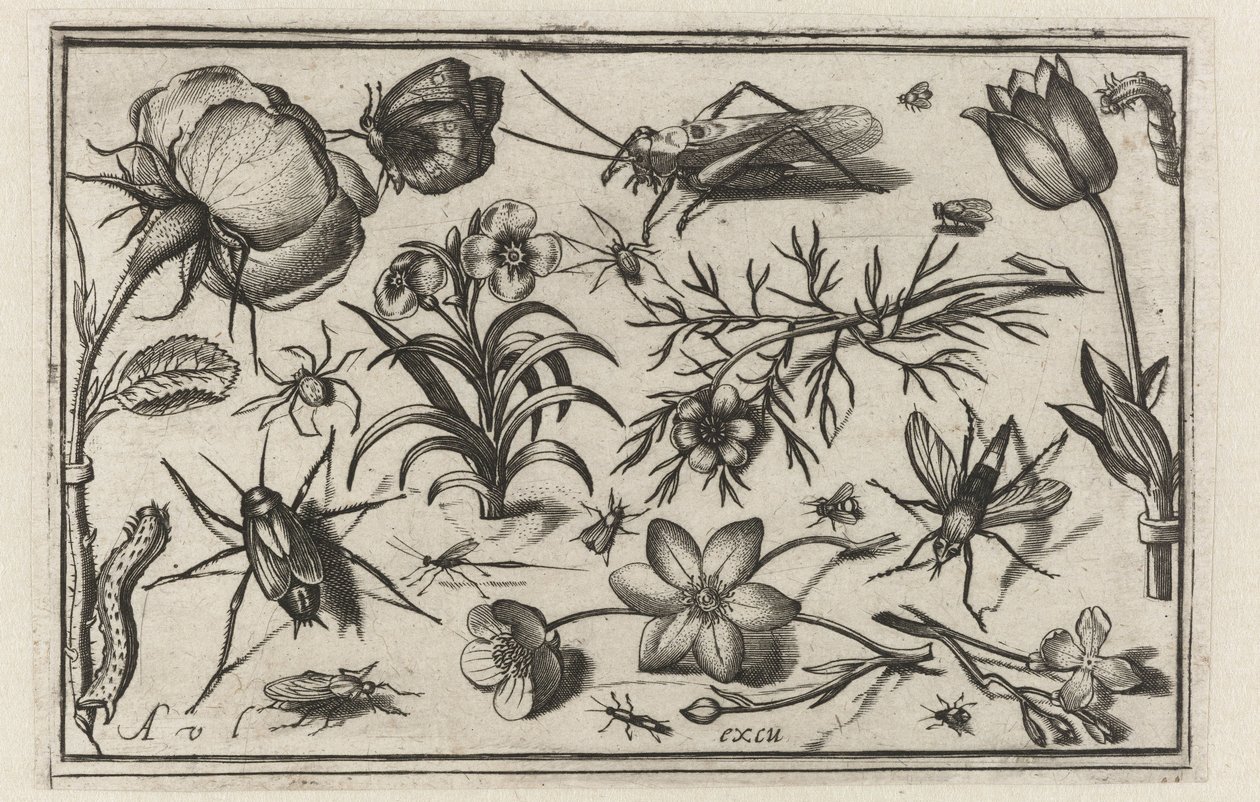 Blumen und Insekten von Nicolaes de Bruyn (possibly)