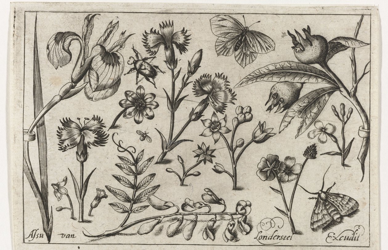 Blumen und Schmetterlinge von Nicolaes de Bruyn (possibly)
