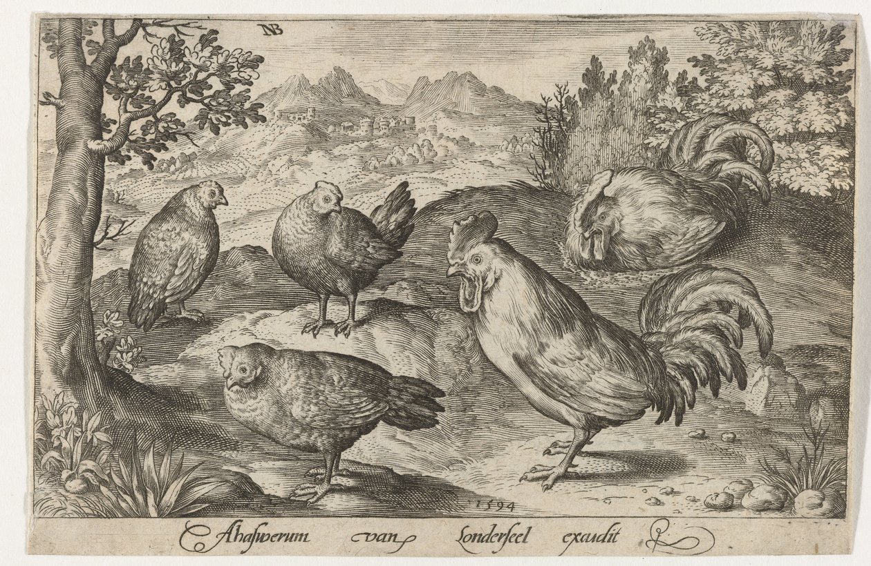 Drei Hühner und zwei Hähne. Vögel und Insekten (Serientitel) von Nicolaes de Bruyn