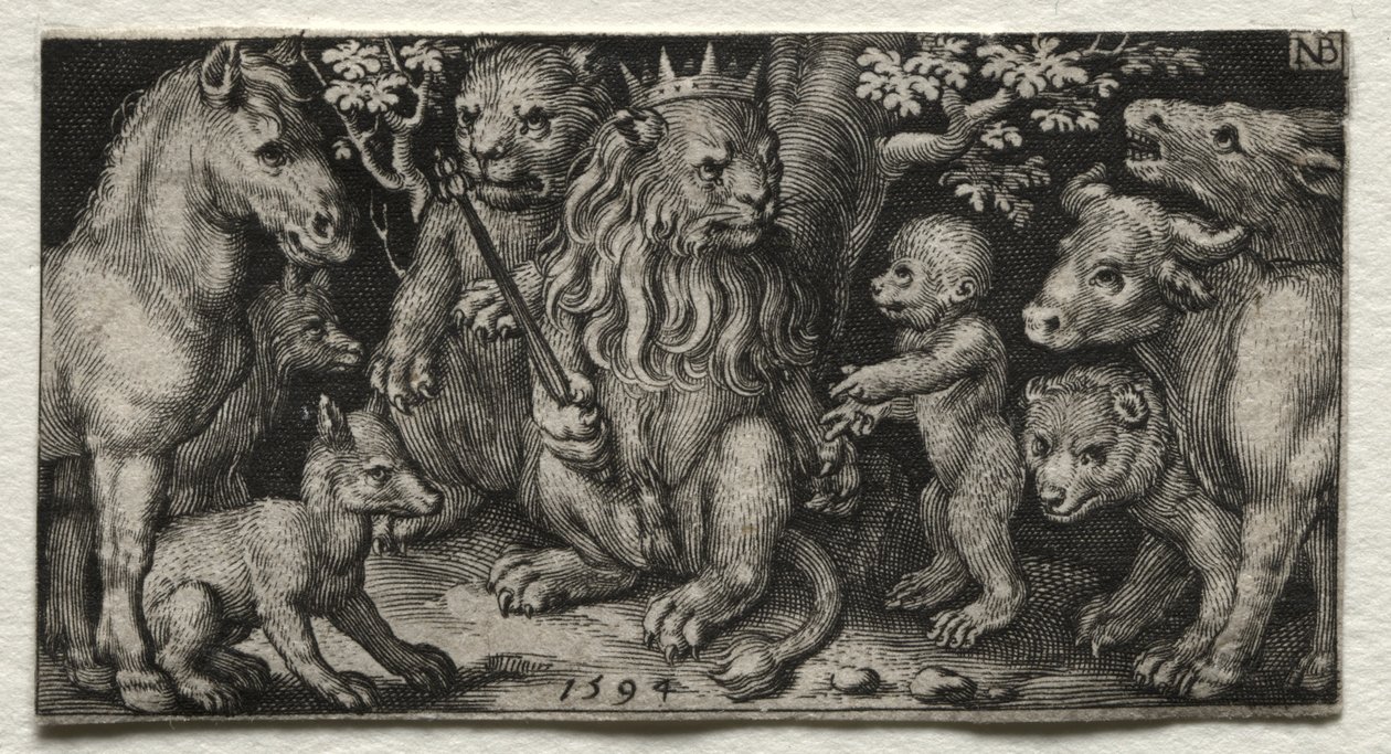 Der König der Tiere von Nicolaes de Bruyn