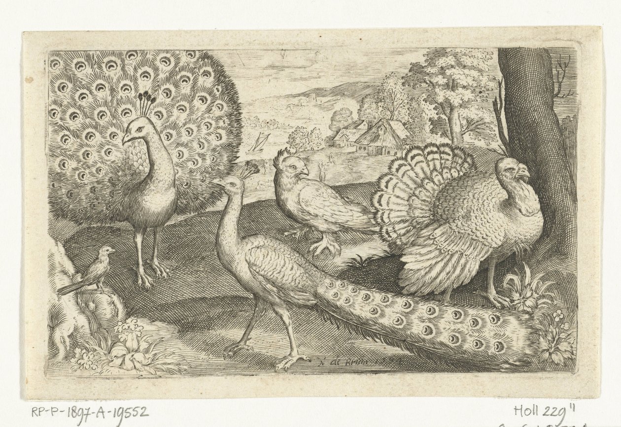 Zwei Pfauen und ein Truthahn von Nicolaes de Bruyn