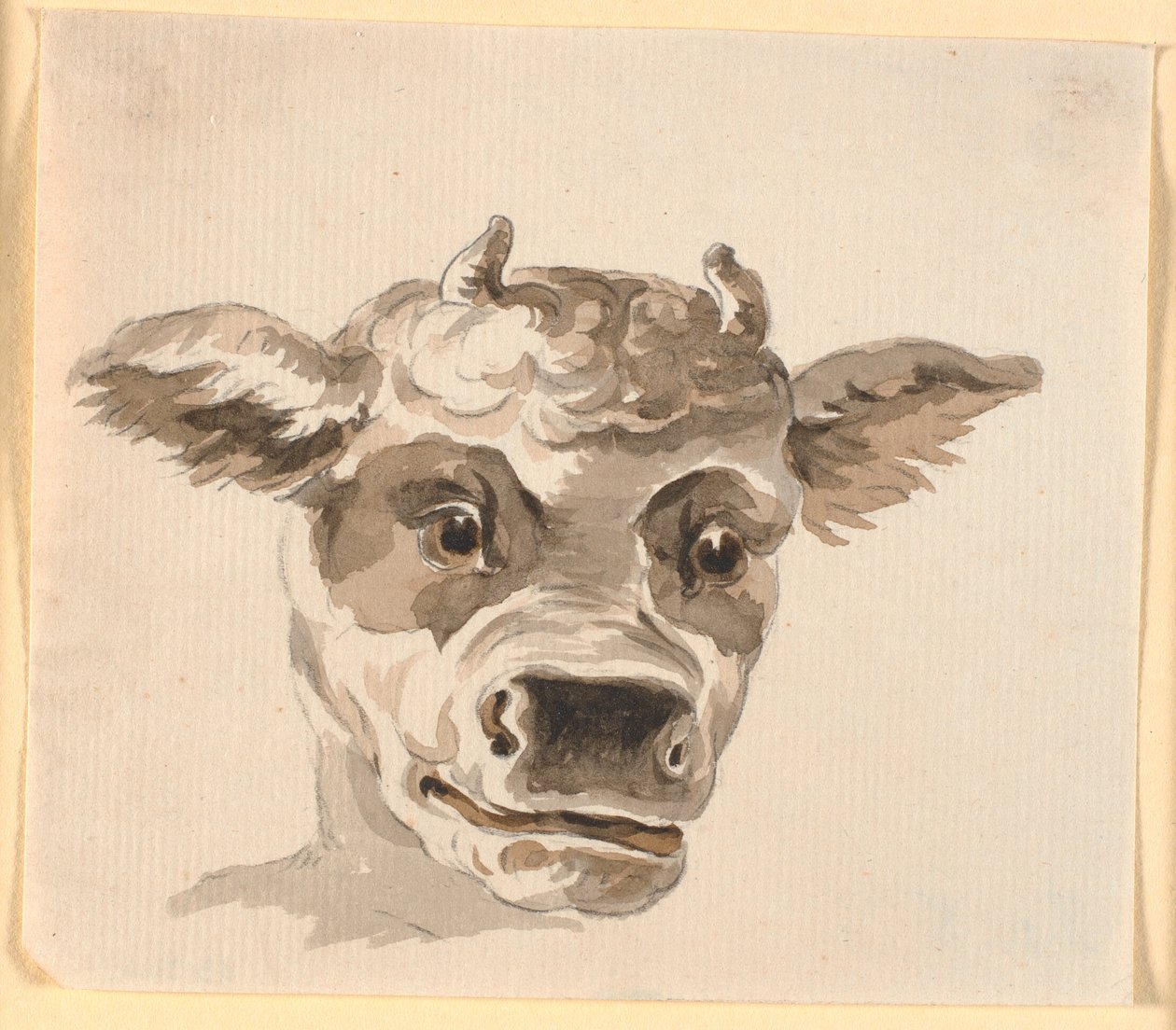 Kopf des Minotaurus von Nicolai Abildgaard
