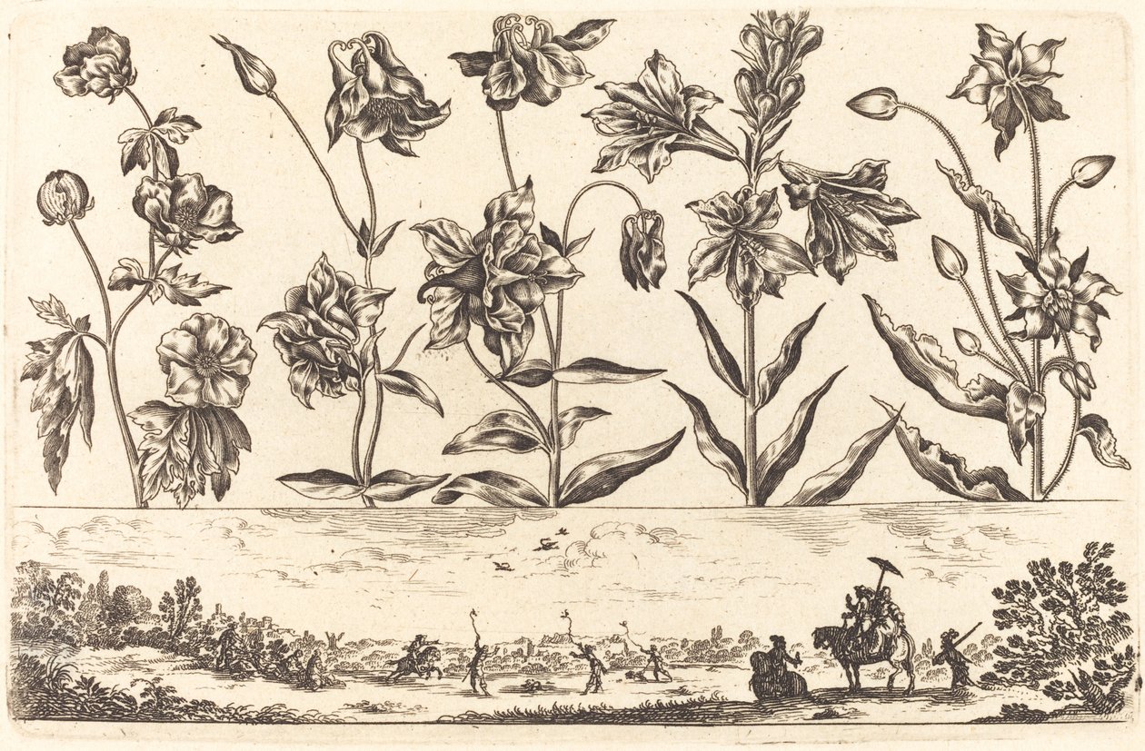 Blumendruck Nr. 6 von Nicolas Cochin after Balthasar Moncornet