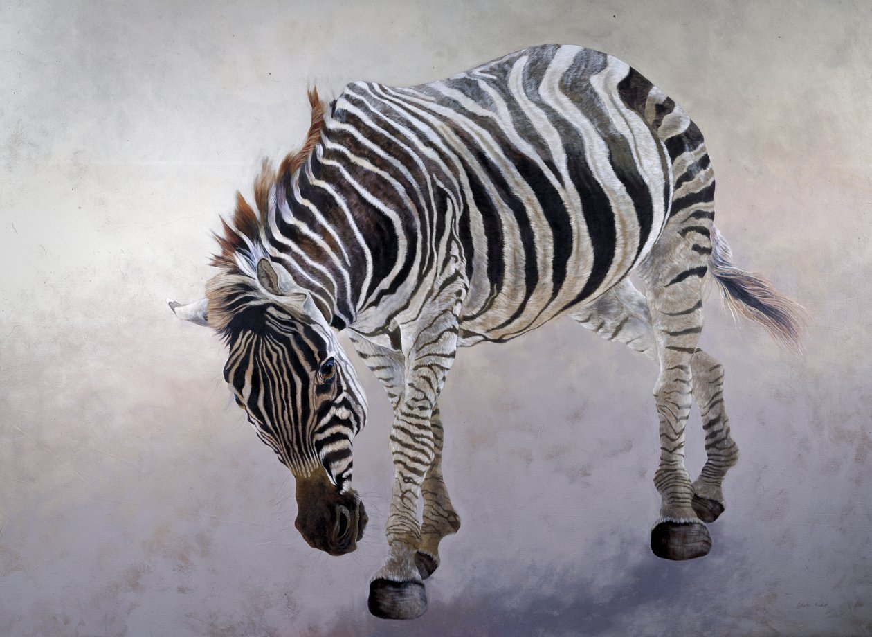 Equus burchelli 2, 2010 von Odile Kidd