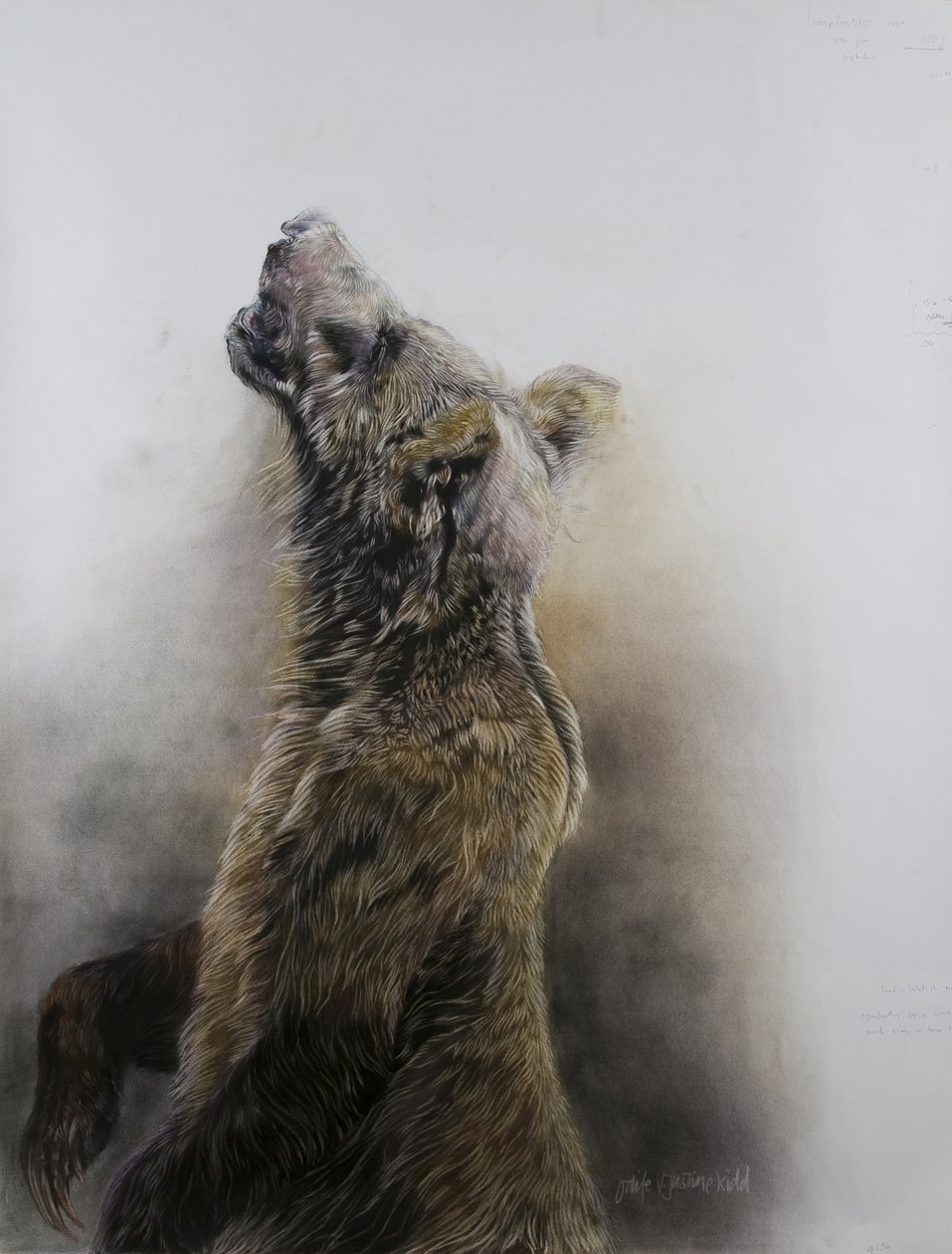 Grizzlybär 3, 2009 von Odile Kidd