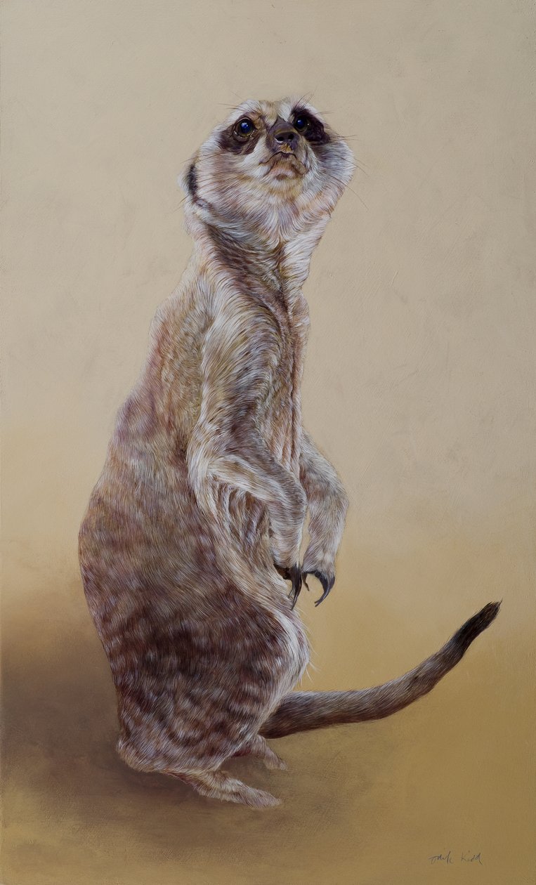 Erdmännchen 2, 2010 von Odile Kidd