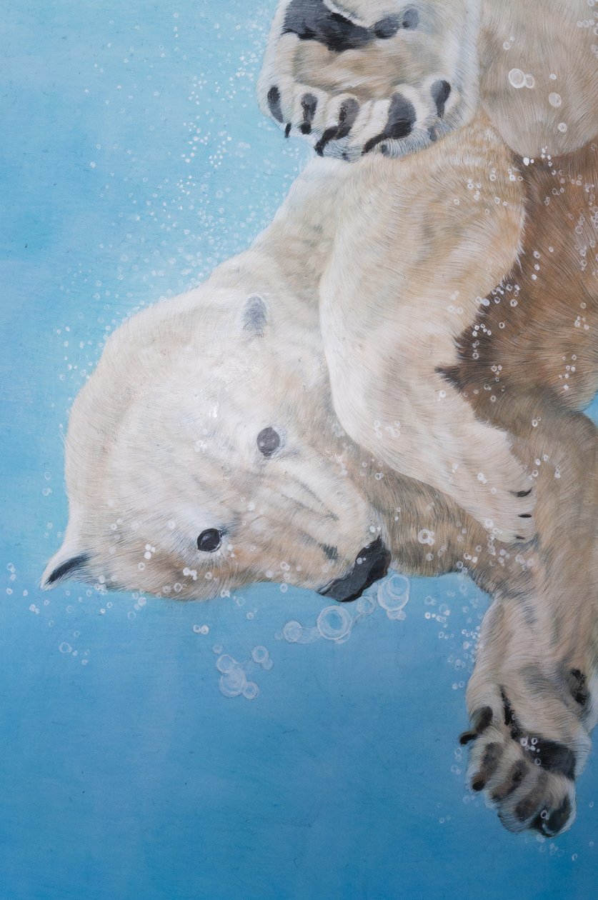 Polarbär-Ballett (Detail), 2012 von Odile Kidd
