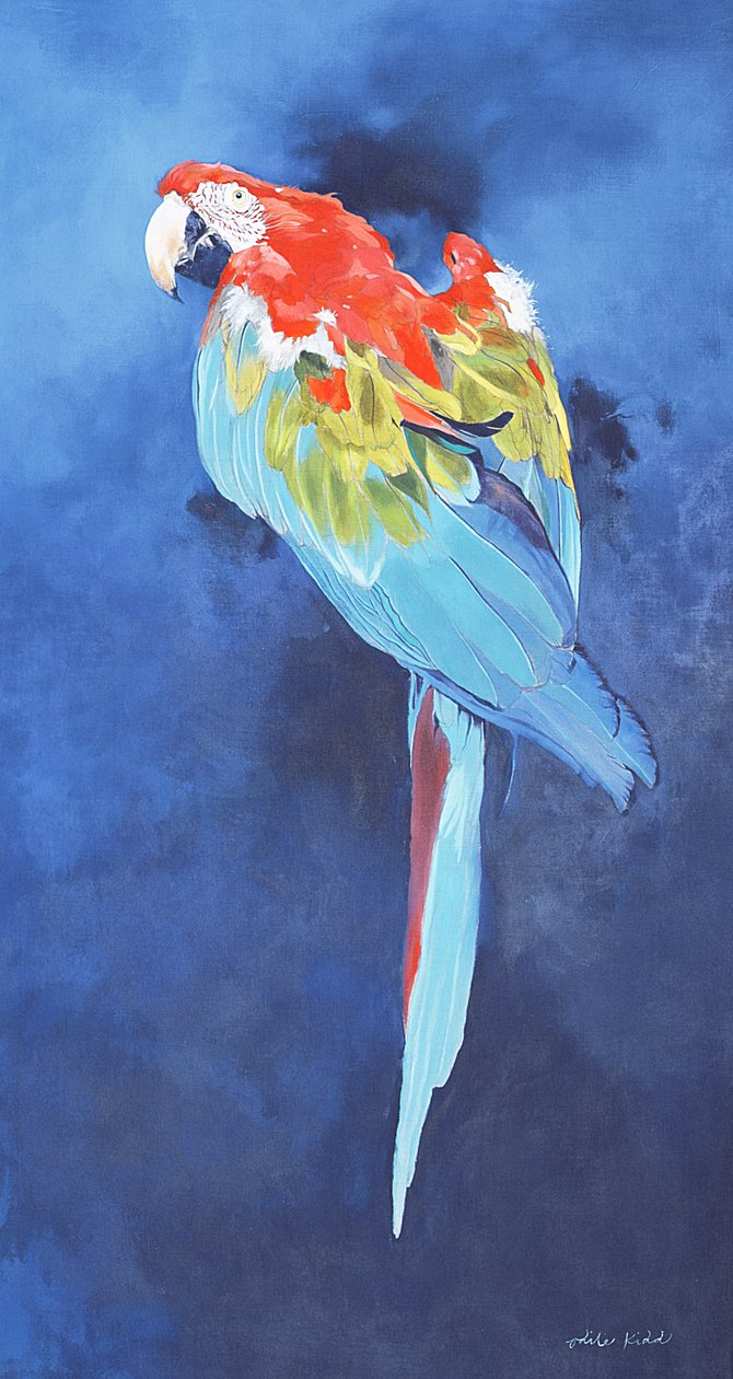 Roter und blauer Ara, 2002 von Odile Kidd