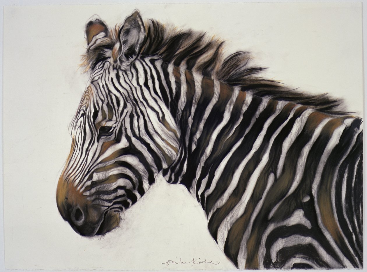 Zebra, 2002 von Odile Kidd