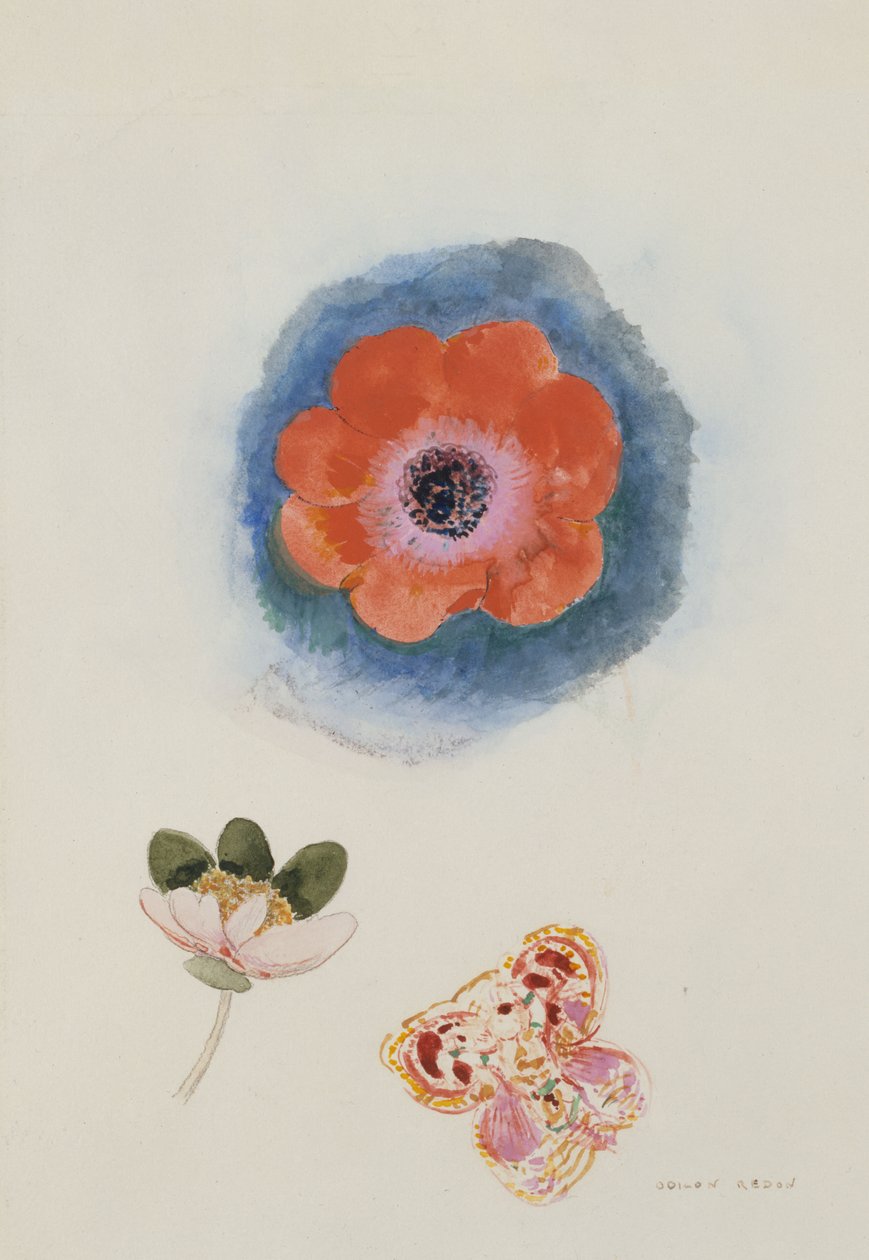 Blumenstudie von Odilon Redon