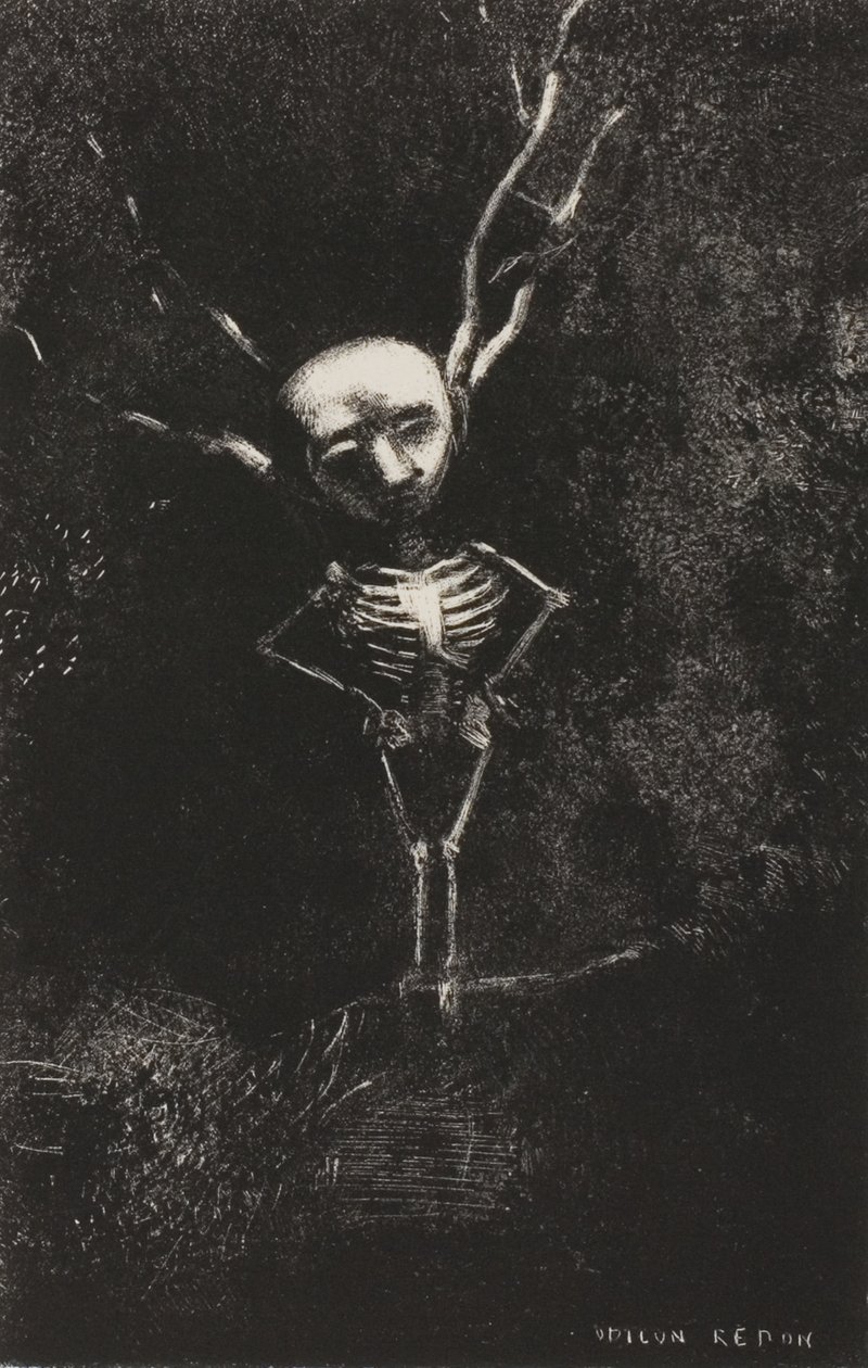 Im Labyrinth der Äste erschien die bleiche Gestalt, Platte 2 von 7 von Odilon Redon