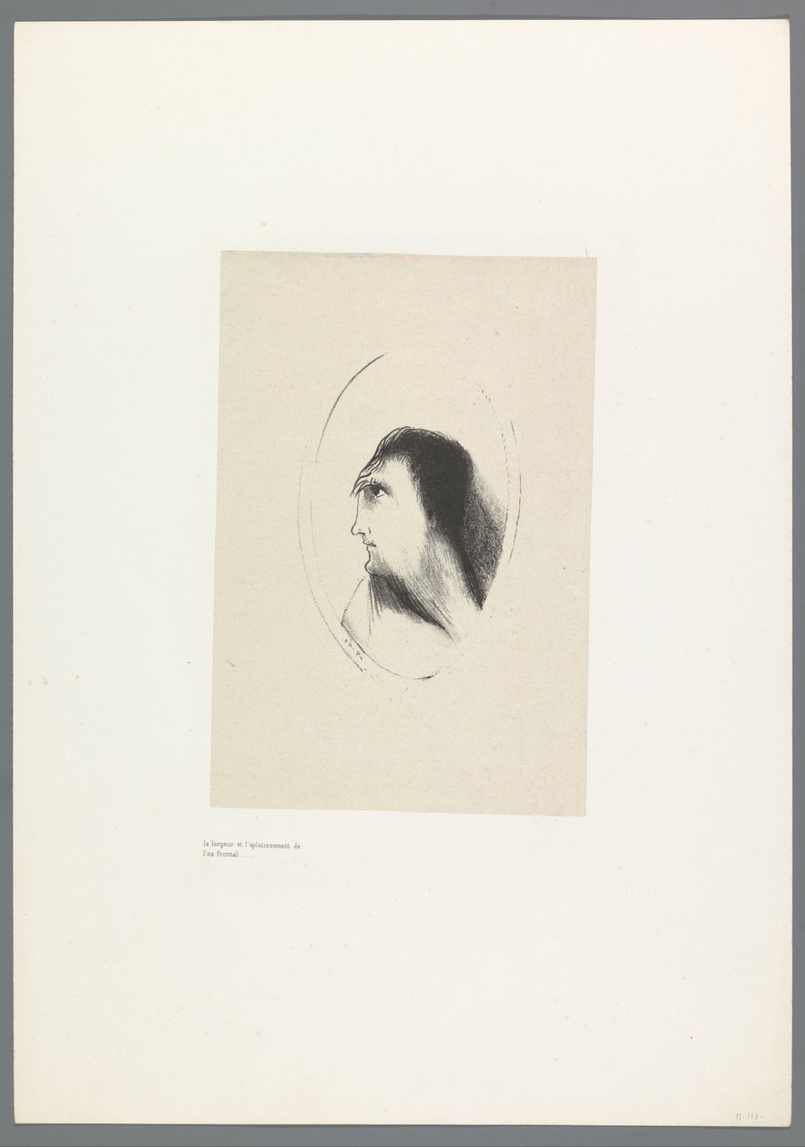 Das Spukhaus, Illustrationen zu einem Text von Bulwer-Lytton, ins Französische übersetzt von René Philipon von Odilon Redon