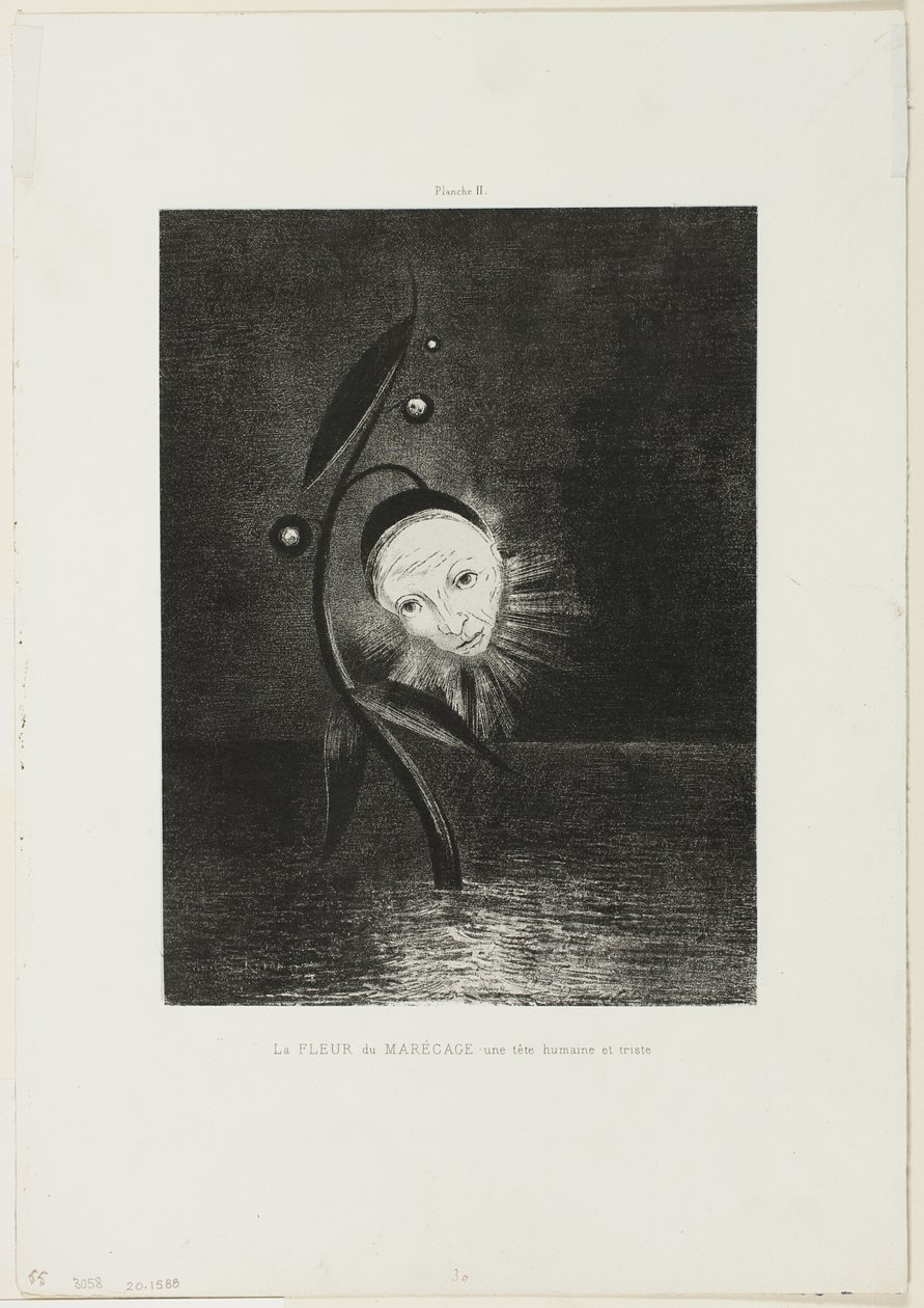 Die Sumpfblume, ein trauriger menschlicher Kopf, Platte 2 von 6 von Odilon Redon
