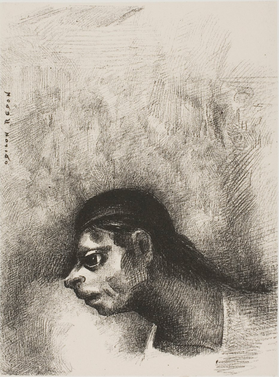 Durch den Riss in der Wand wurde ein Totenkopf projiziert, aus Der Geschworene von Odilon Redon