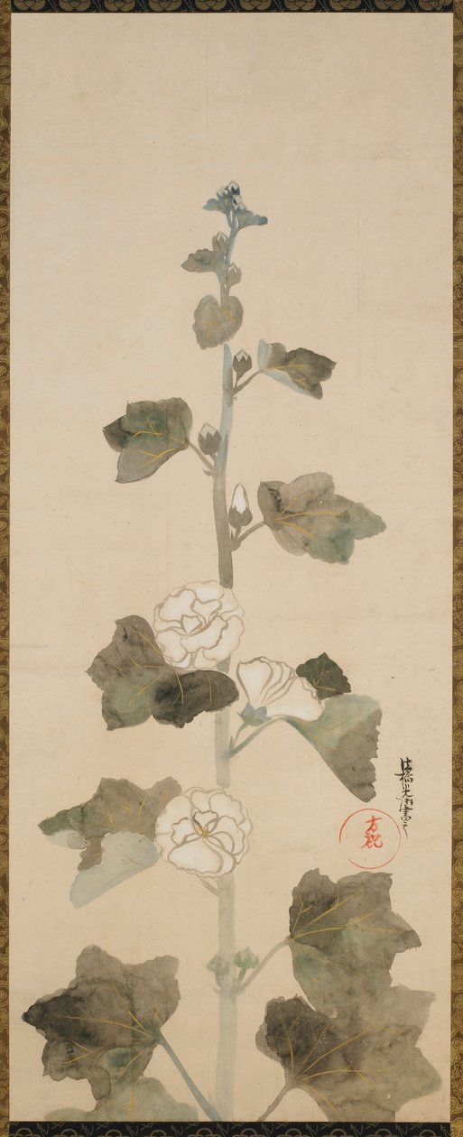 Weiße Stockrosen, Edo-Zeit, spätes 17. bis frühes 18. Jahrhundert von Ogata Korin