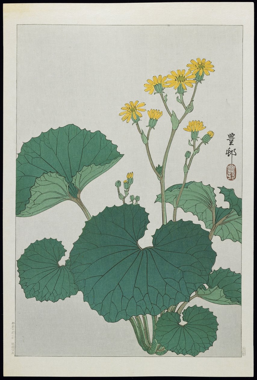 Blumen der japanischen Silberblätter, 1930er Jahre von Ohara Koson