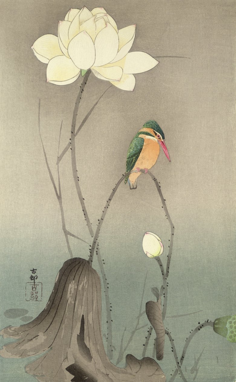 Ein Eisvogel und eine Lotusblume, ca. 1910 von Ohara Koson