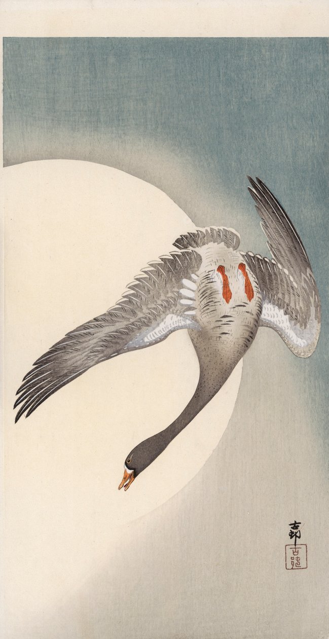 Fliegende Weißwangengans vor dem Mond von Ohara Koson