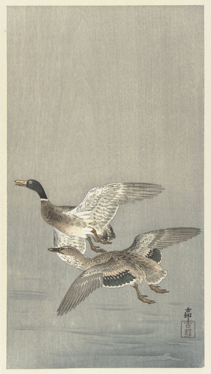 Entenpaar von Ohara Koson