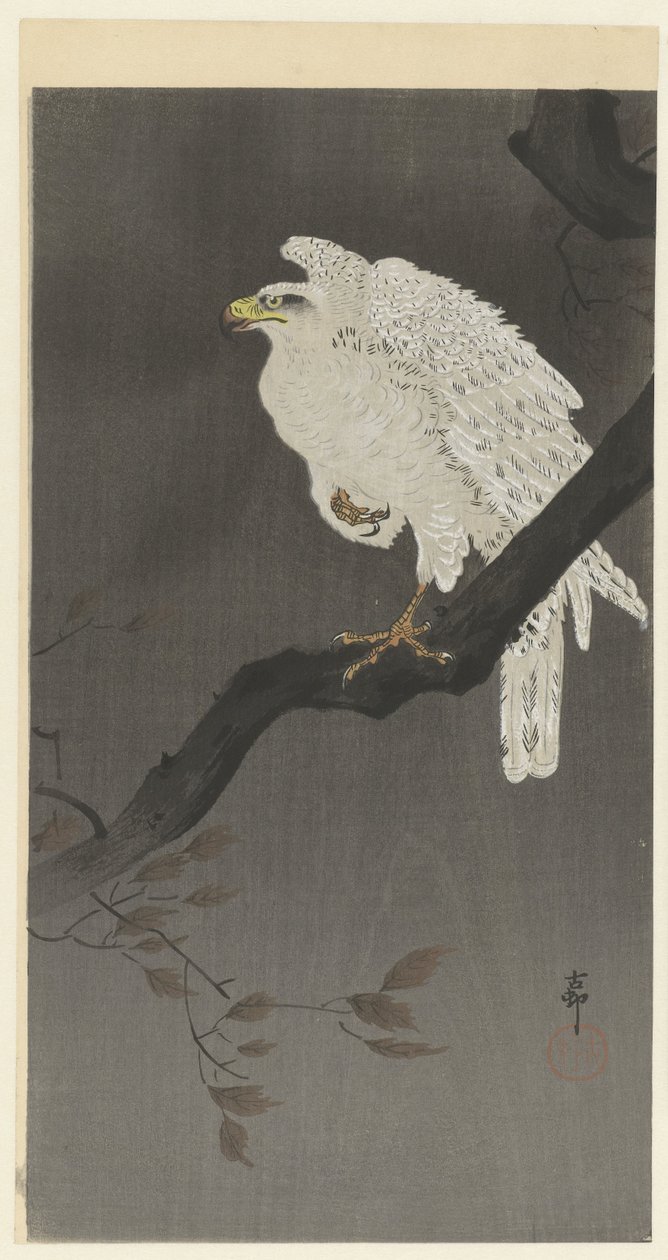 Schneeadler auf einem Ast von Ohara Koson