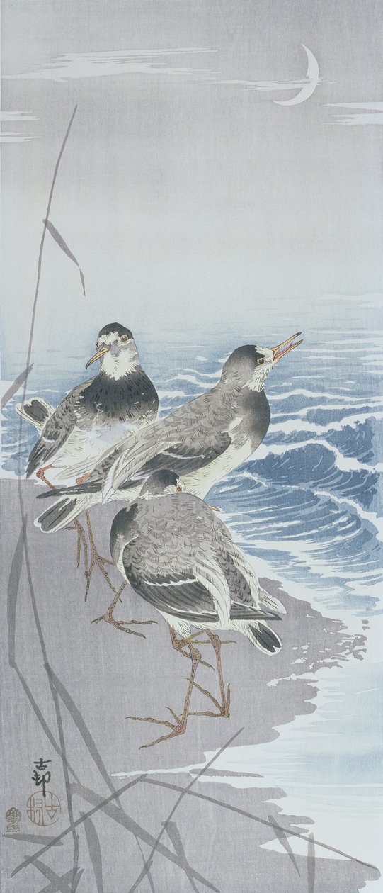 Drei Sandpiper am Wasser vor Schilf (Farbholzschnitt) von Ohara Koson