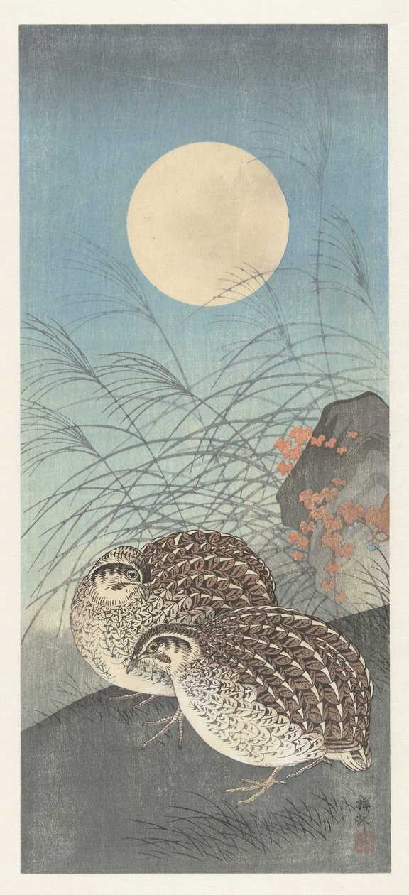 Zwei Wachteln bei Vollmond von Ohara Koson