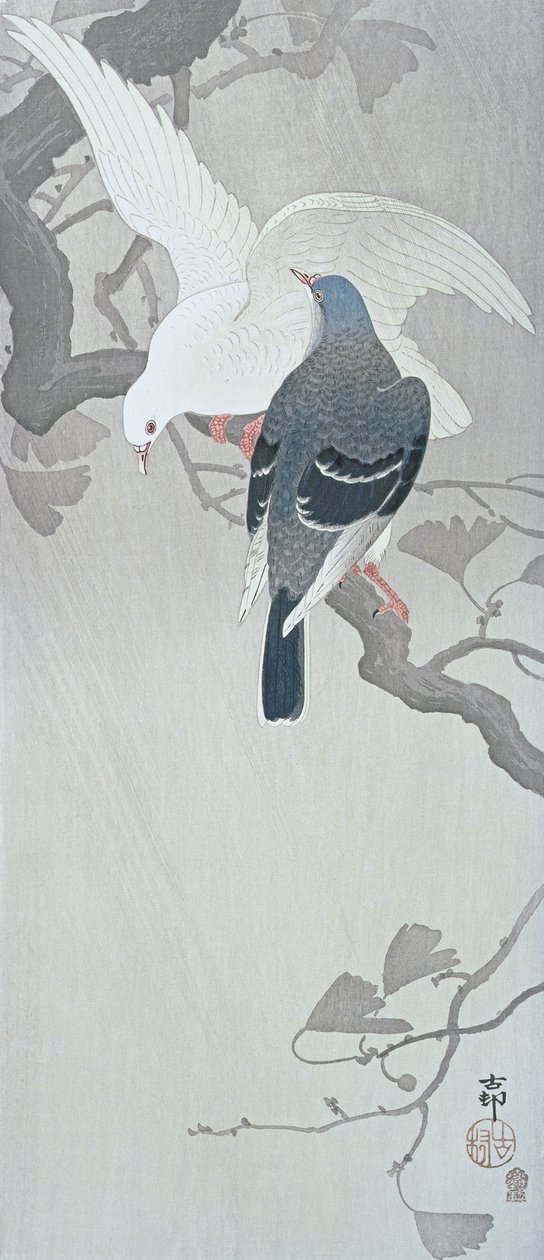 Zwei Tauben im Regen auf einem Ginkgobaumzweig von Ohara Koson