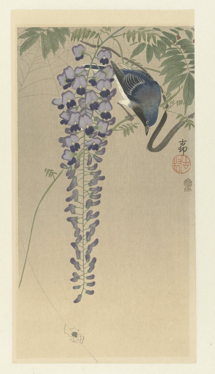 Fliegenfänger bei Glyzinien von Ohara Koson