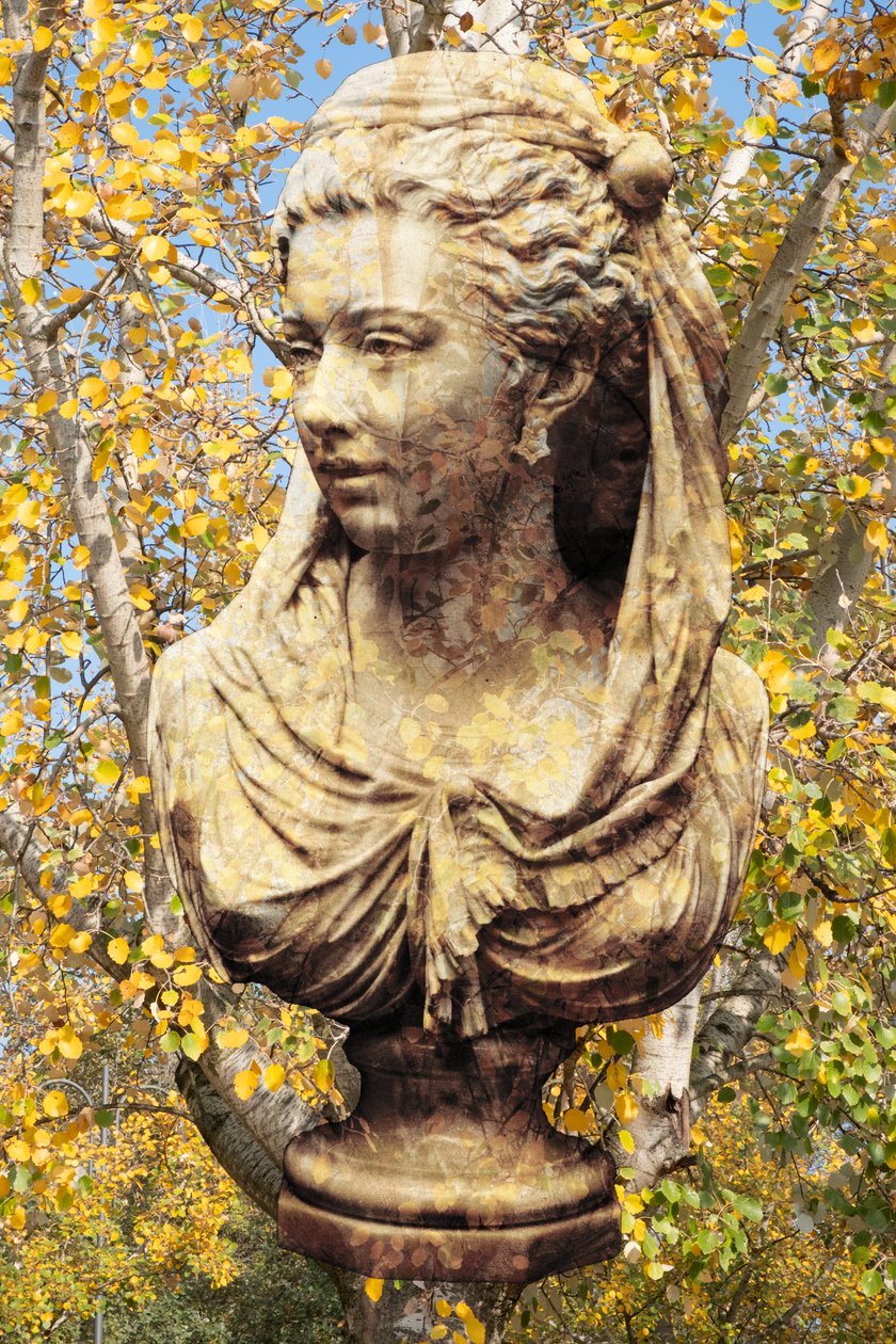 2019 von Olivia Gozzano