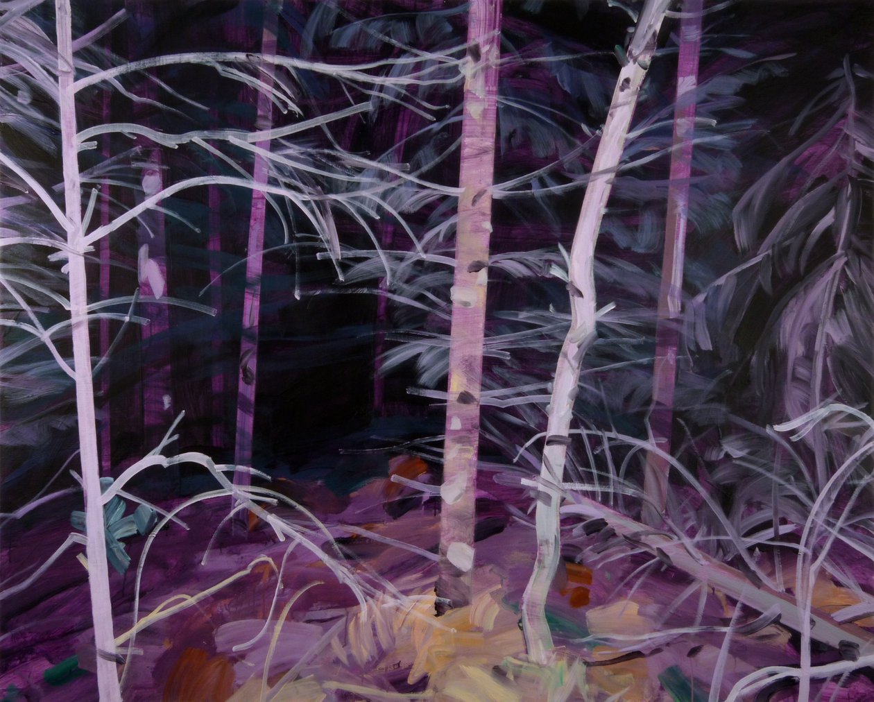 Forêt-noire 10, 2019 von Olivier Morel