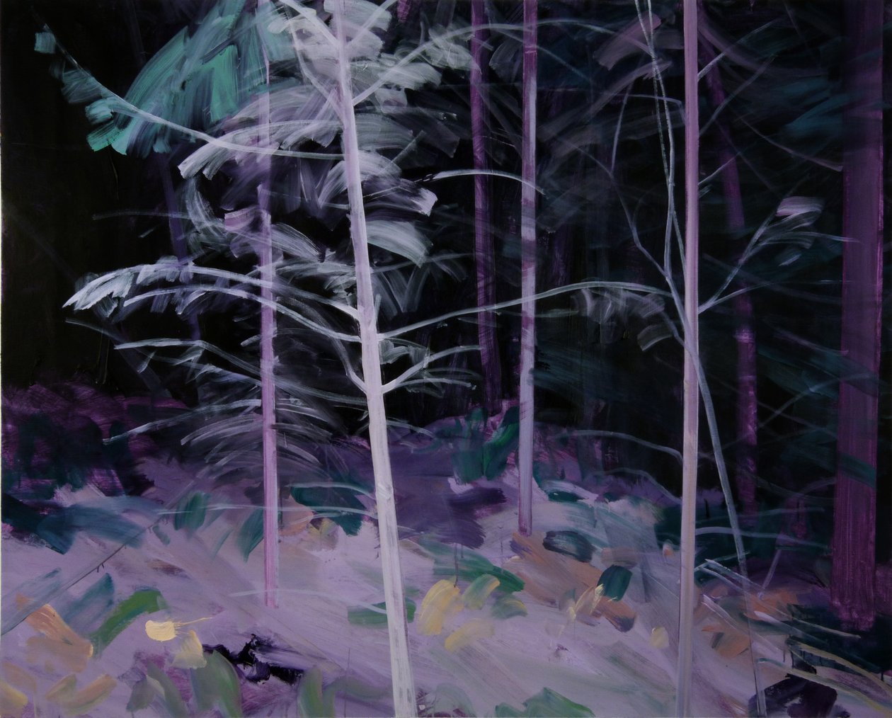 Schwarzwald 8 von Olivier Morel