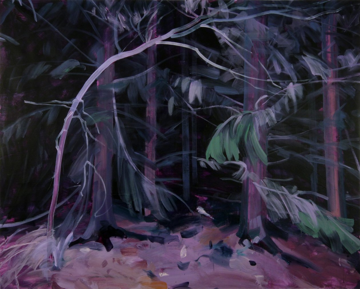 Forêt-noire 9 von Olivier Morel