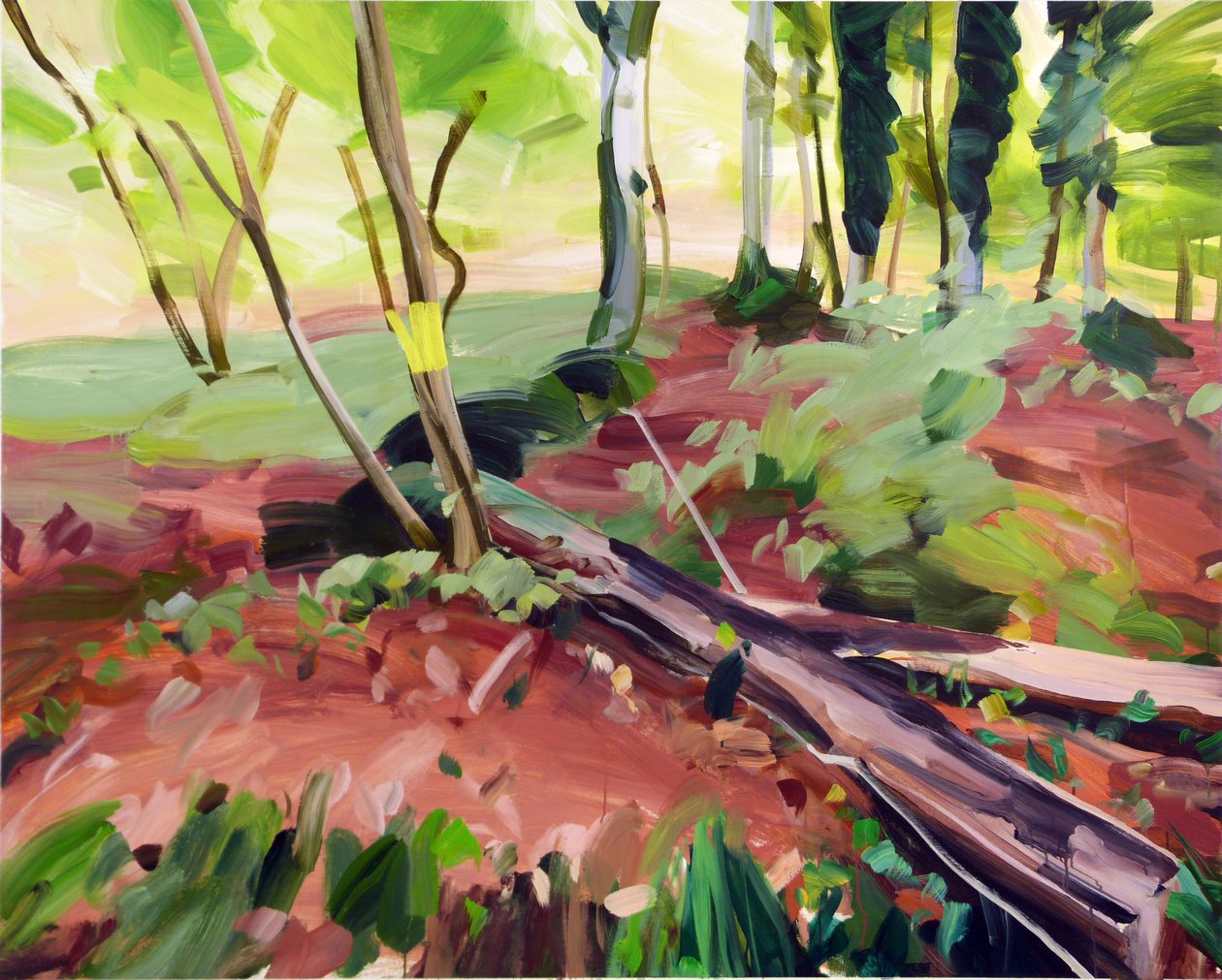 Forêt 25 von Olivier Morel